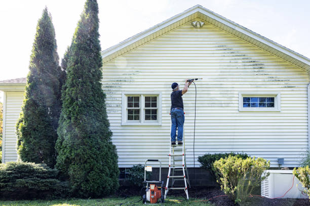 Best Pressure Washing Company Near Me  in Dunnellon, FL